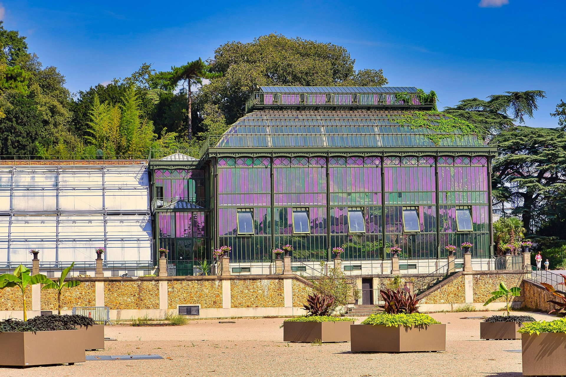 สวนพฤกษศาสตร์ปารีส (Jardin des Plantes)